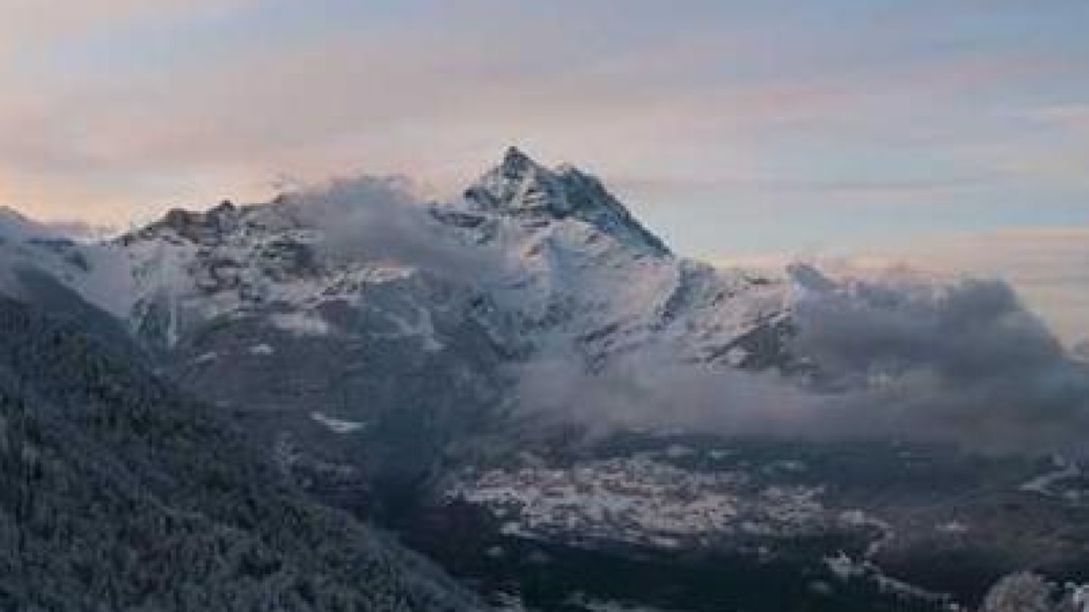 How Gut Health Affects Your Entire Body